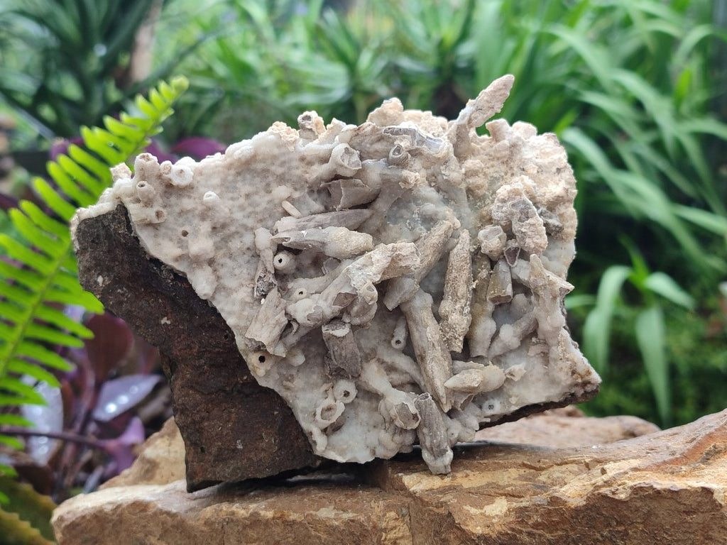 Natural Rhombohedral and Spearhead Calcite Specimens with Phosphorus Aragonite x 3 From Albert's Mountain, Lesotho
