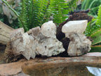 Natural Rhombohedral and Spearhead Calcite Specimens with Phosphorus Aragonite x 3 From Albert's Mountain, Lesotho