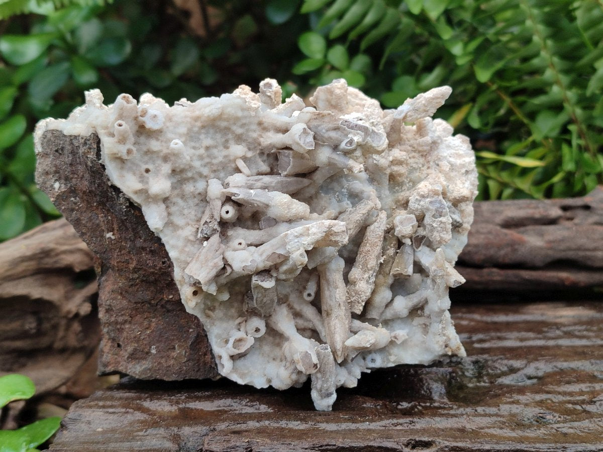 Natural Rhombohedral and Spearhead Calcite Specimens with Phosphorus Aragonite x 3 From Albert's Mountain, Lesotho