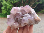 Natural Sunburst Spirit Amethyst Cluster x 3 From Boekenhouthoek, South Africa