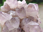 Natural Sunburst Spirit Amethyst Cluster x 3 From Boekenhouthoek, South Africa