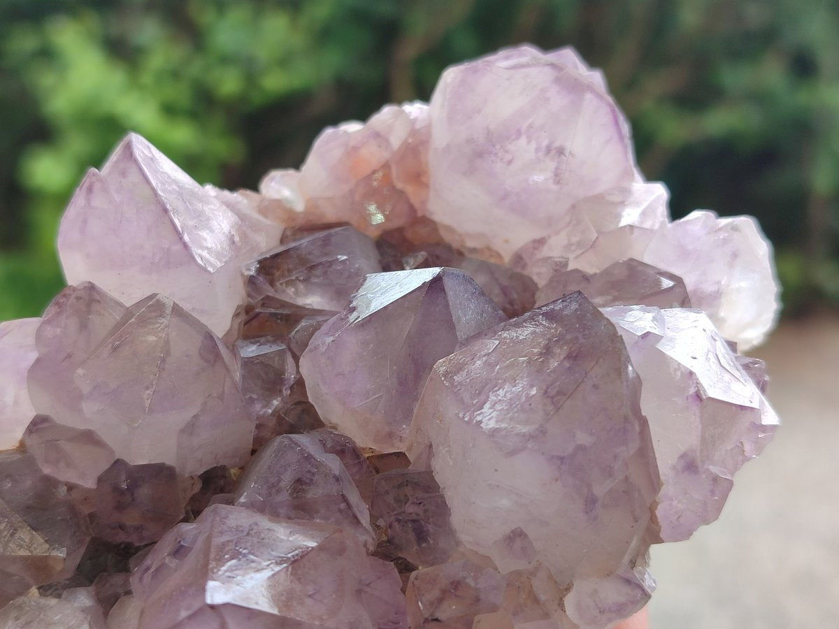 Natural Sunburst Spirit Amethyst Cluster x 3 From Boekenhouthoek, South Africa
