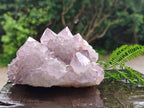Natural Sunburst Spirit Amethyst Cluster x 3 From Boekenhouthoek, South Africa