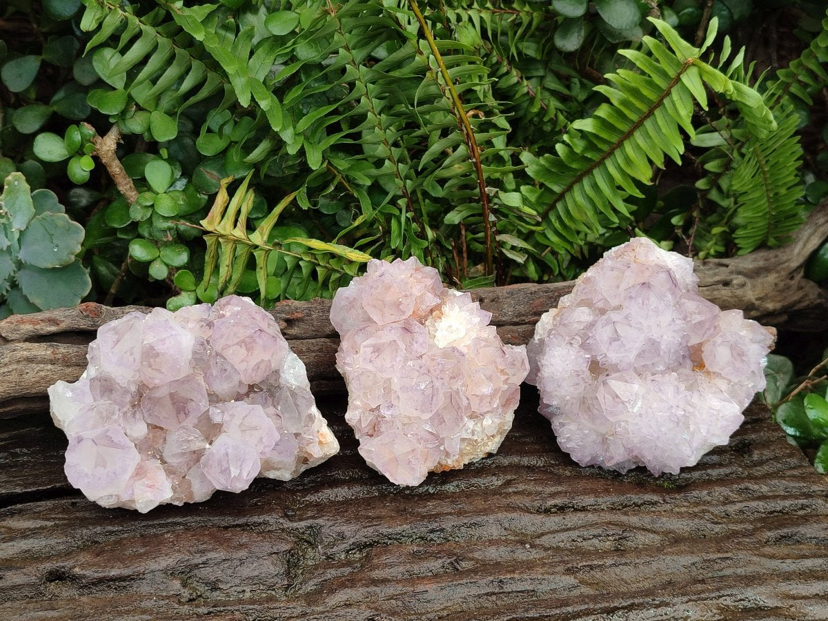 Natural Sunburst Spirit Amethyst Cluster x 3 From Boekenhouthoek, South Africa