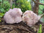 Natural Sunburst Spirit Amethyst Cluster x 3 From Boekenhouthoek, South Africa