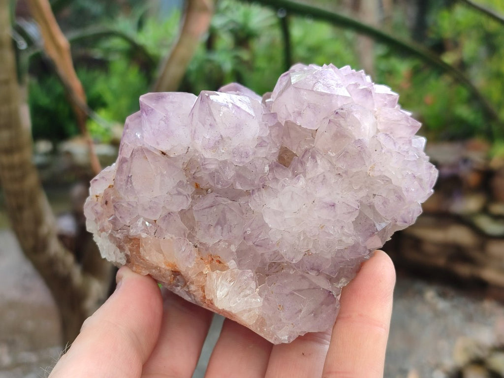 Natural Sunburst Spirit Amethyst Cluster x 3 From Boekenhouthoek, South Africa