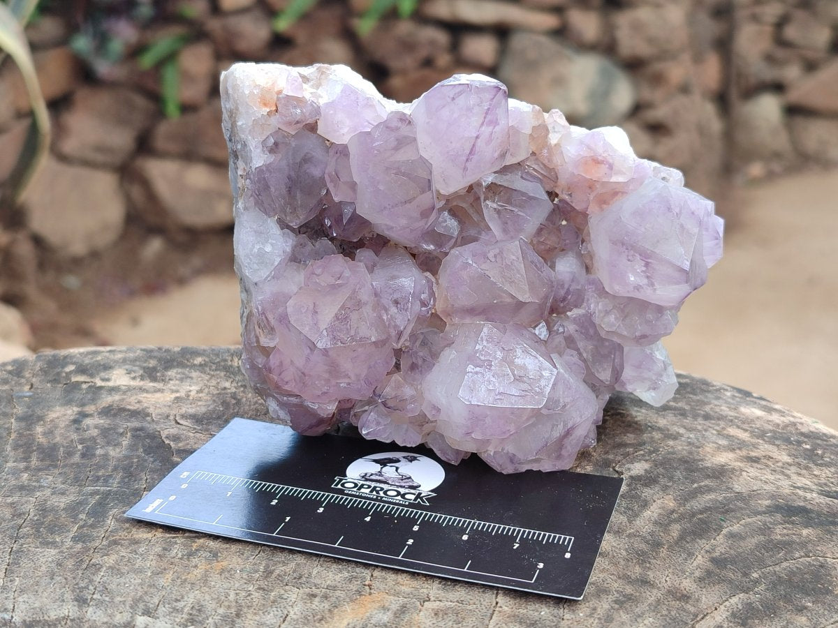 Natural Sunburst Spirit Amethyst Cluster x 3 From Boekenhouthoek, South Africa