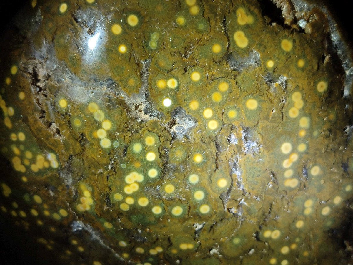 Polished and Natural XL Ocean Jasper Standing Display Pieces x 1 From Northwest Coast, Madagascar