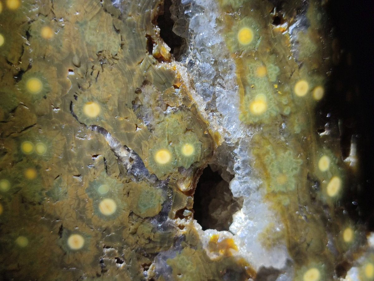 Polished and Natural XL Ocean Jasper Standing Display Pieces x 1 From Northwest Coast, Madagascar