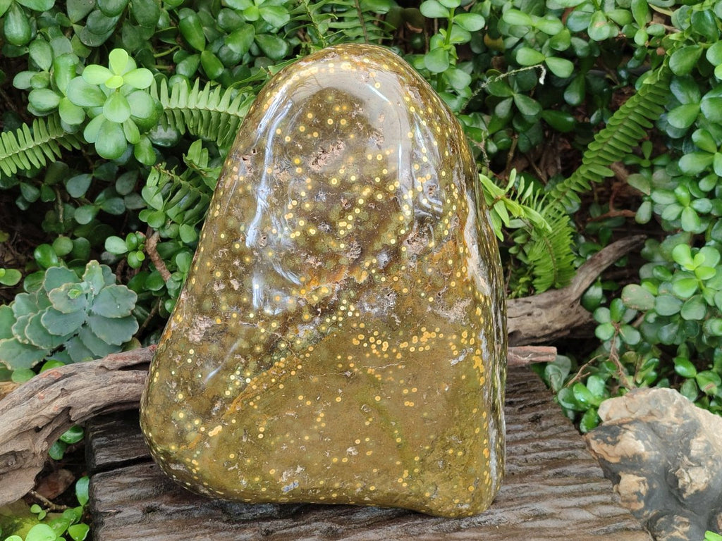 Polished and Natural XL Ocean Jasper Standing Display Pieces x 1 From Northwest Coast, Madagascar