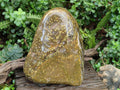 Polished and Natural XL Ocean Jasper Standing Display Pieces x 1 From Northwest Coast, Madagascar