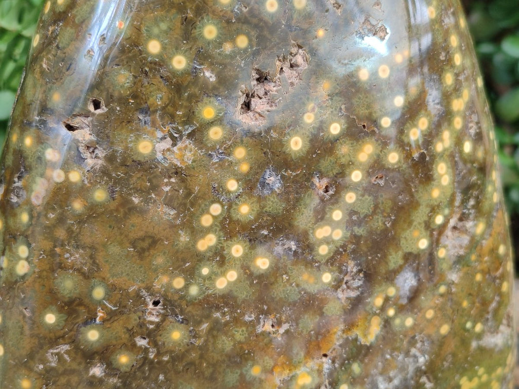 Polished and Natural XL Ocean Jasper Standing Display Pieces x 1 From Northwest Coast, Madagascar