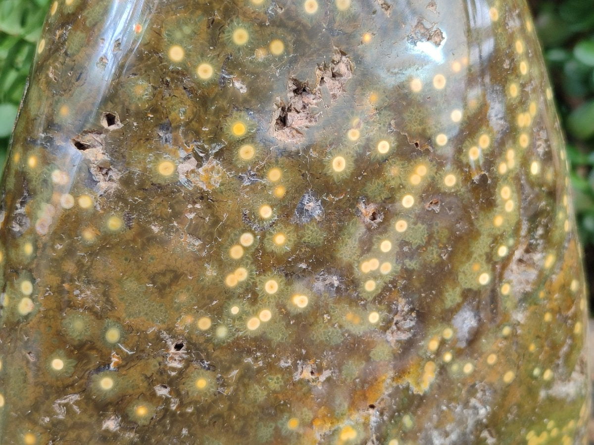 Polished and Natural XL Ocean Jasper Standing Display Pieces x 1 From Northwest Coast, Madagascar
