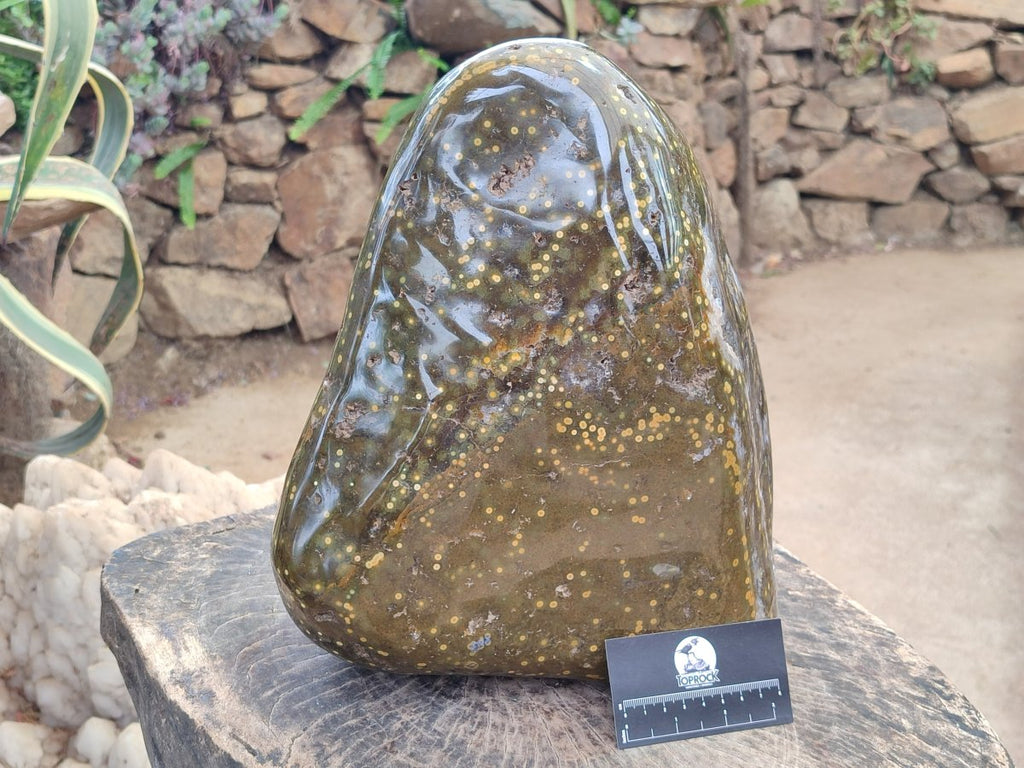 Polished and Natural XL Ocean Jasper Standing Display Pieces x 1 From Northwest Coast, Madagascar