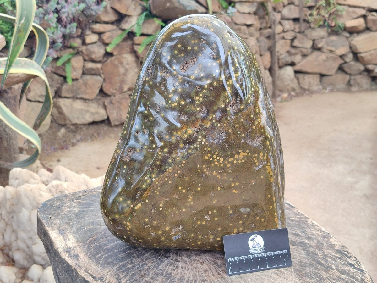 Polished and Natural XL Ocean Jasper Standing Display Pieces x 1 From Northwest Coast, Madagascar