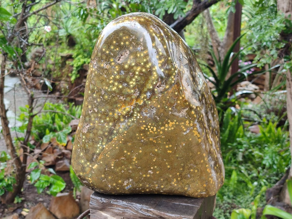 Polished and Natural XL Ocean Jasper Standing Display Pieces x 1 From Northwest Coast, Madagascar