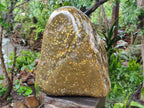 Polished and Natural XL Ocean Jasper Standing Display Pieces x 1 From Northwest Coast, Madagascar