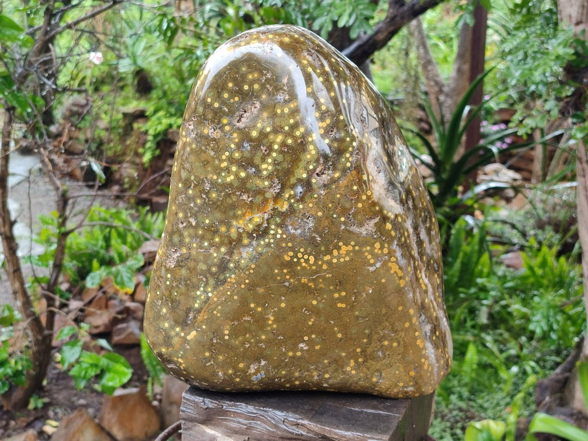 Polished and Natural XL Ocean Jasper Standing Display Pieces x 1 From Northwest Coast, Madagascar