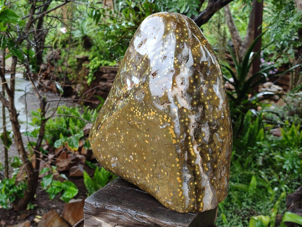 Polished and Natural XL Ocean Jasper Standing Display Pieces x 1 From Northwest Coast, Madagascar