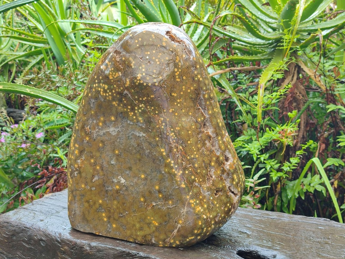 Polished and Natural XL Ocean Jasper Standing Display Pieces x 1 From Northwest Coast, Madagascar