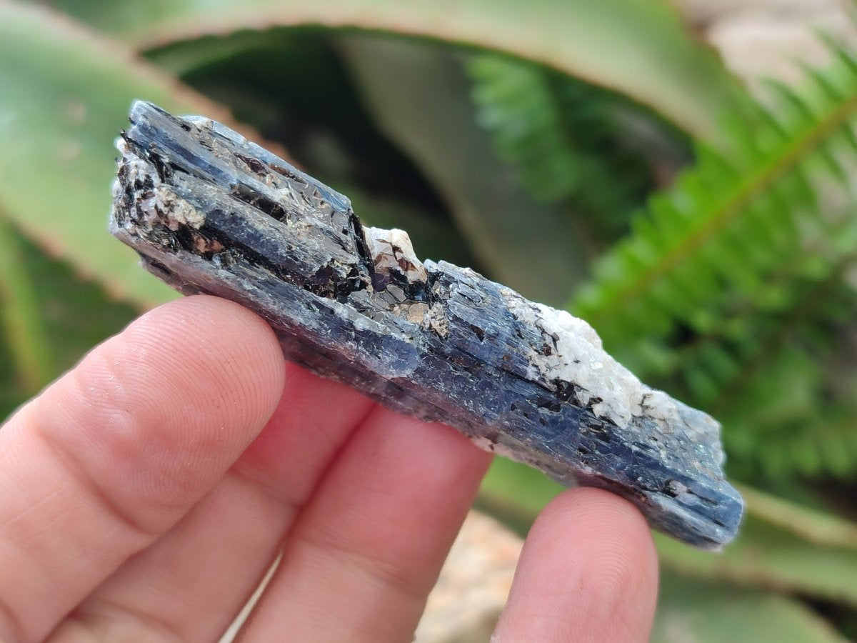 Natural Blue Kyanite Crystals x 70 From Karoi, Zimbabwe