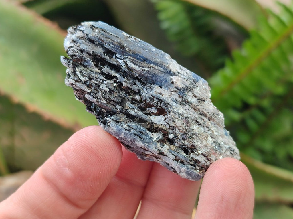 Natural Blue Kyanite Crystals x 70 From Karoi, Zimbabwe