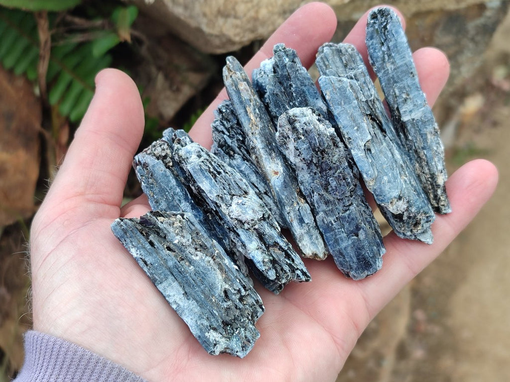 Natural Blue Kyanite Crystals x 70 From Karoi, Zimbabwe