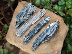 Natural Blue Kyanite Crystals x 70 From Karoi, Zimbabwe