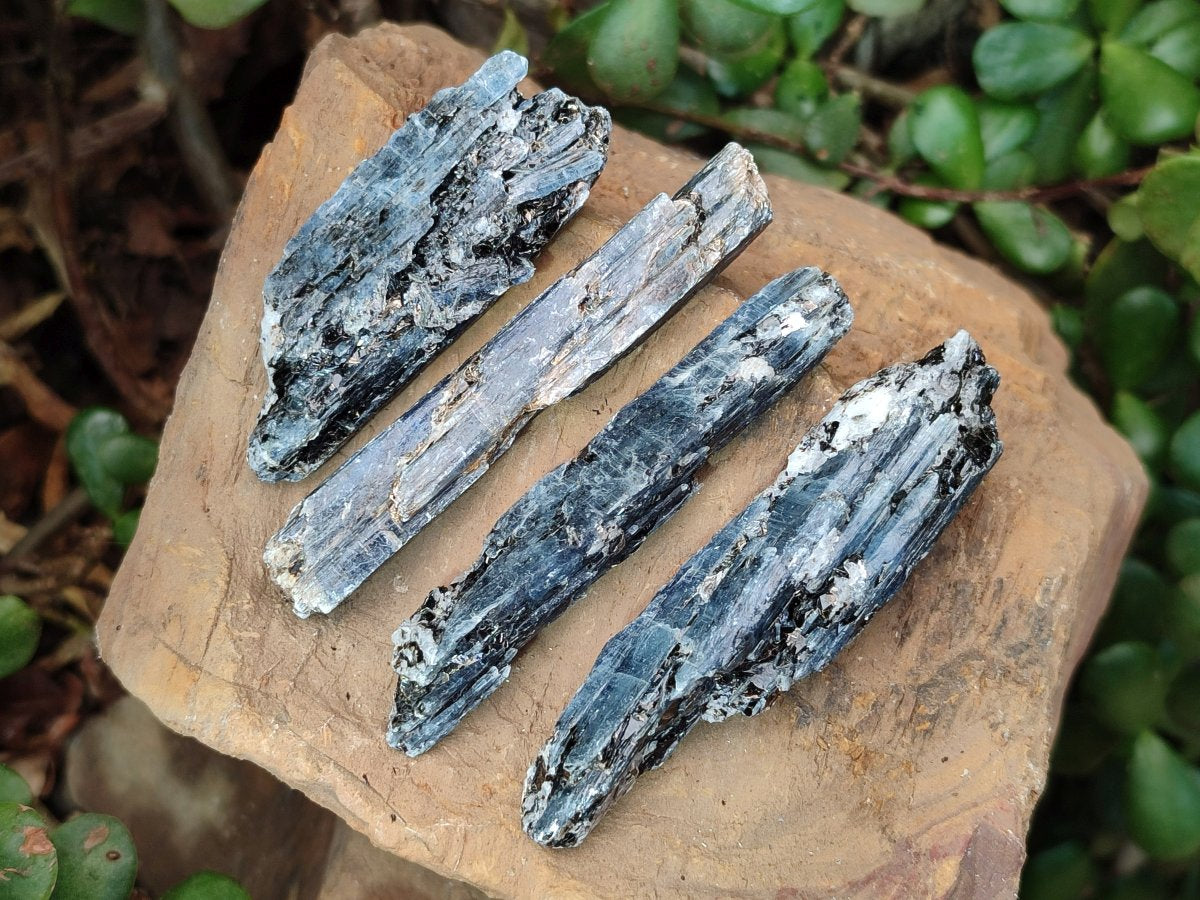 Natural Blue Kyanite Crystals x 70 From Karoi, Zimbabwe