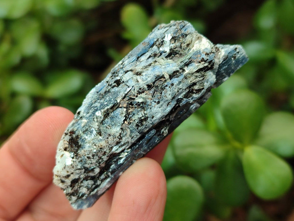Natural Blue Kyanite Crystals x 70 From Karoi, Zimbabwe