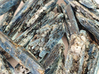 Natural Blue Kyanite Crystals x 70 From Karoi, Zimbabwe