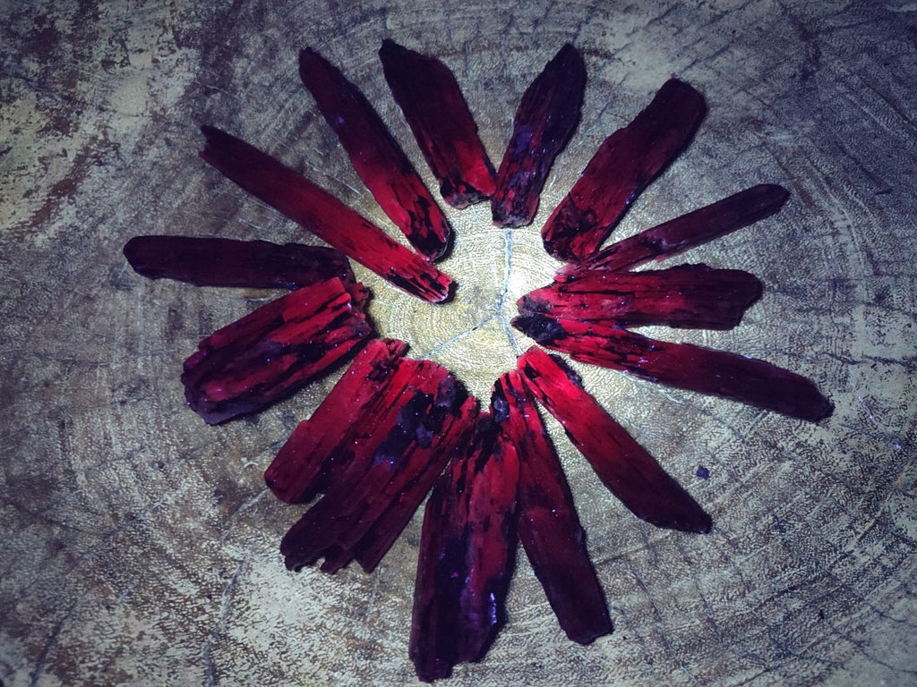 Natural Blue Kyanite Crystals x 70 From Karoi, Zimbabwe