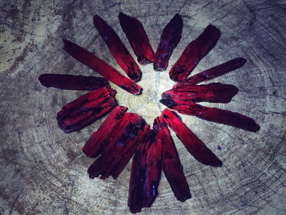 Natural Blue Kyanite Crystals x 70 From Karoi, Zimbabwe
