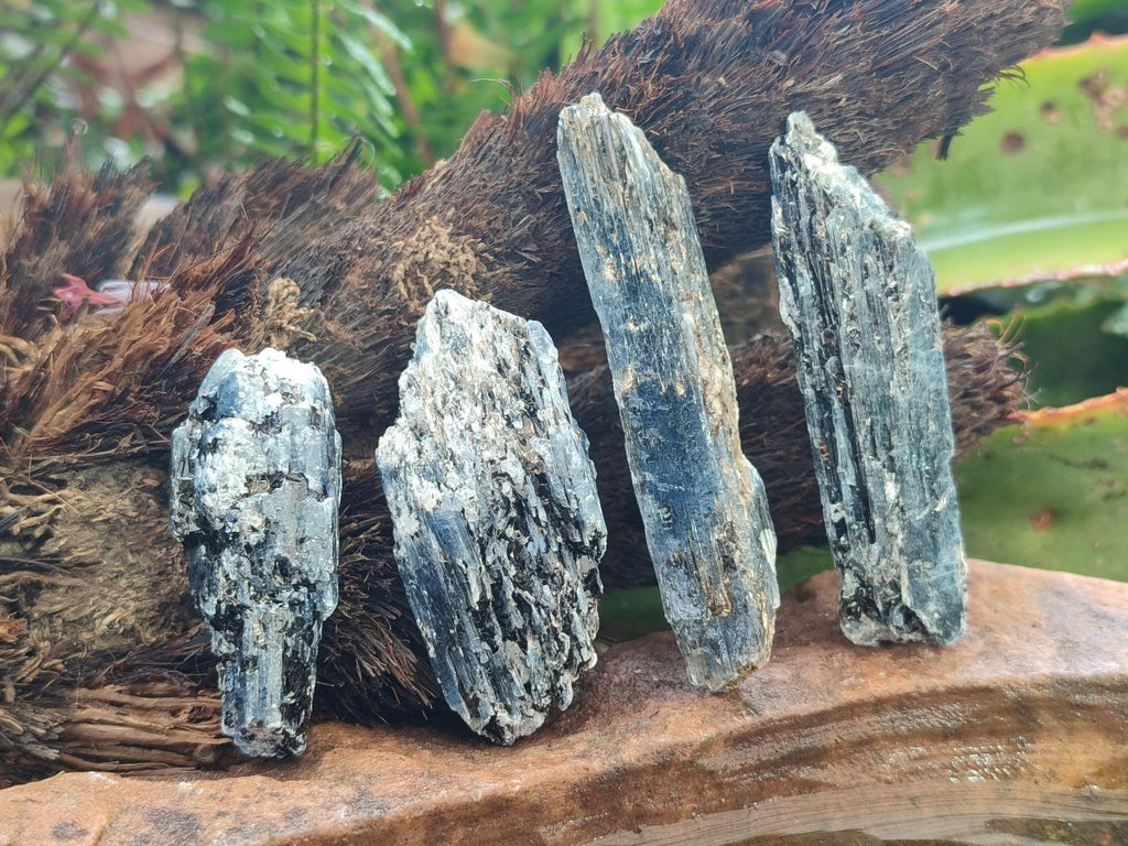 Natural Blue Kyanite Crystals x 70 From Karoi, Zimbabwe