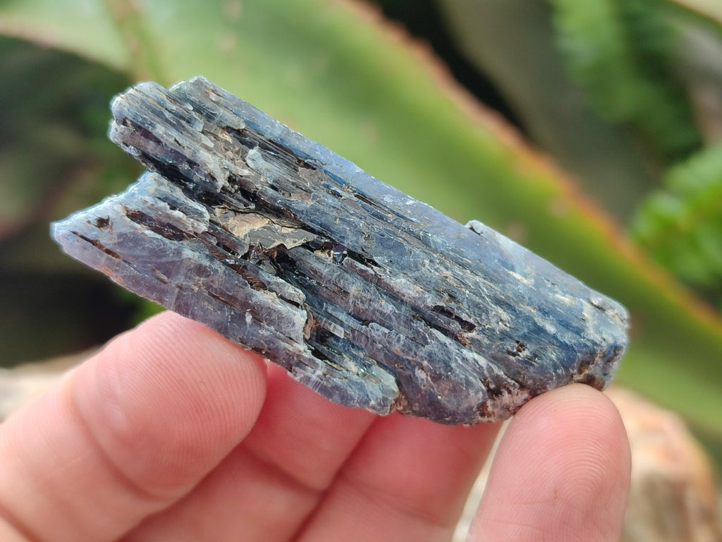 Natural Blue Kyanite Crystals x 70 From Karoi, Zimbabwe