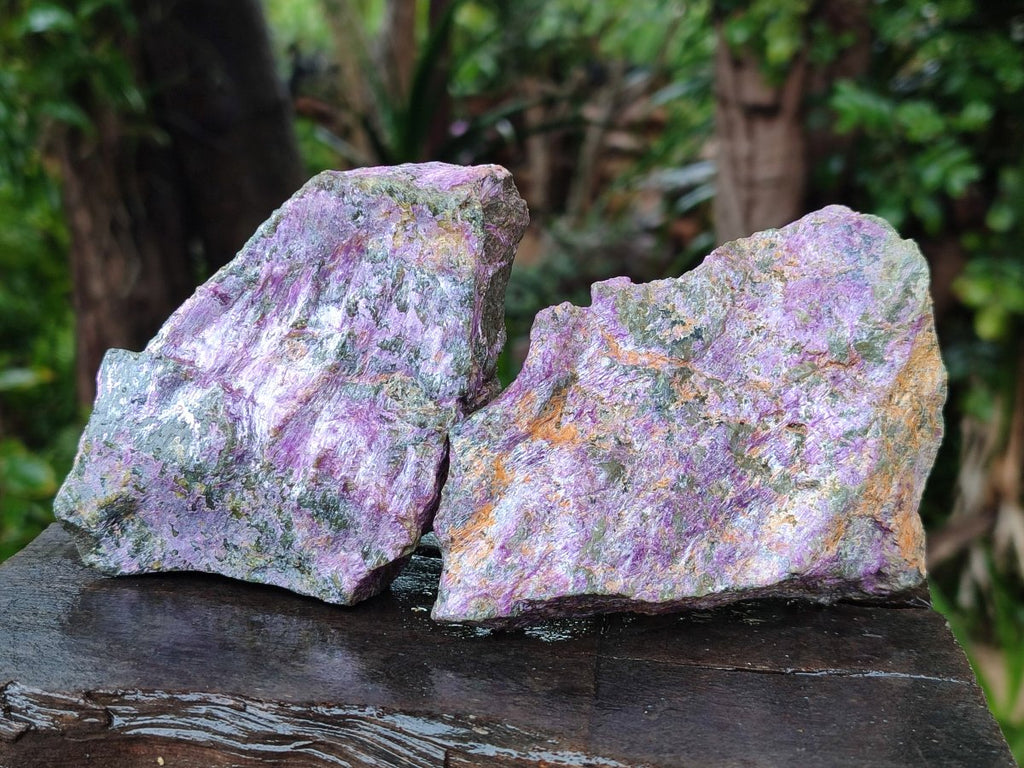 Natural Cobbed Stichtite Specimens x 12 From Barberton, South Africa