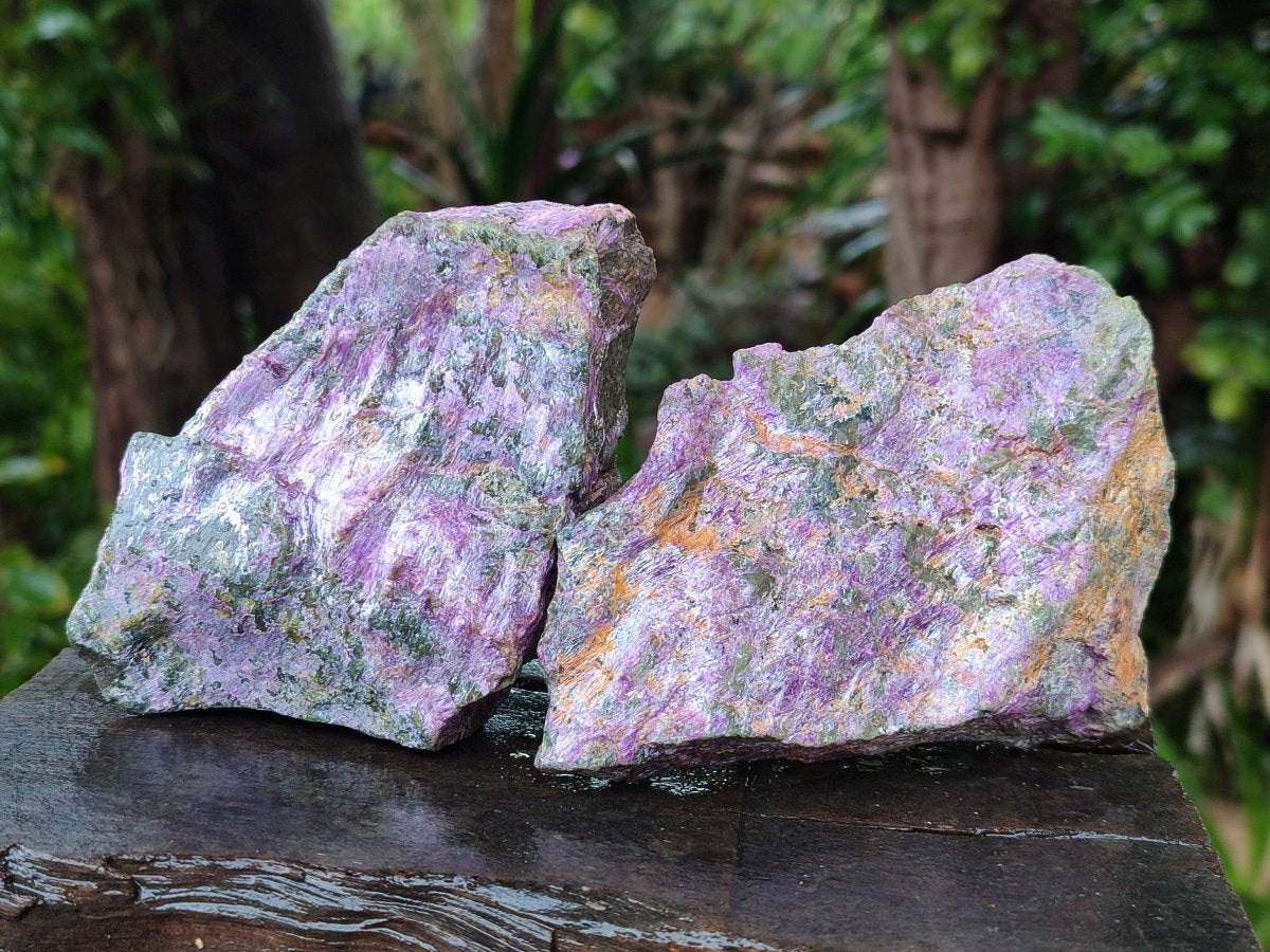 Natural Cobbed Stichtite Specimens x 12 From Barberton, South Africa