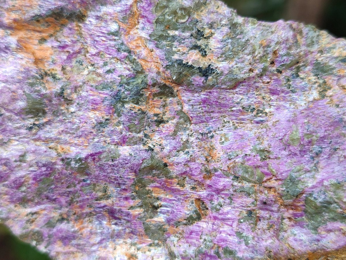 Natural Cobbed Stichtite Specimens x 12 From Barberton, South Africa