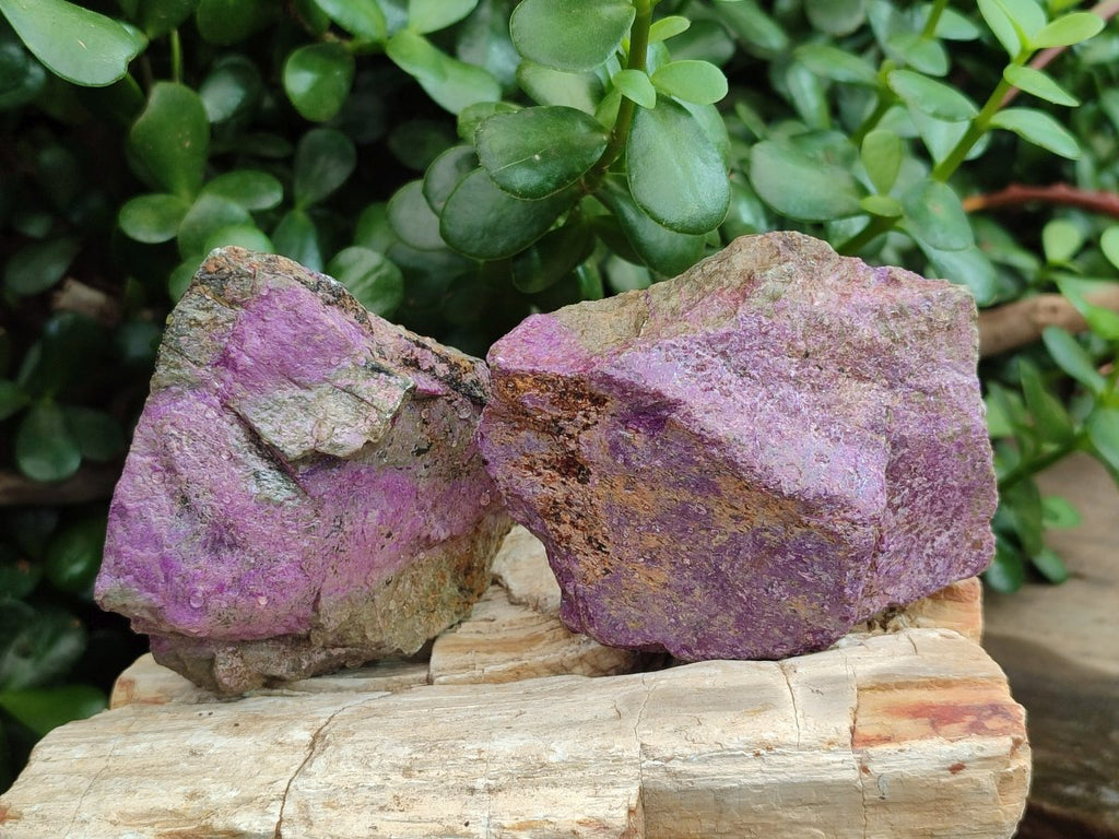 Natural Cobbed Stichtite Specimens x 12 From Barberton, South Africa