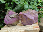 Natural Cobbed Stichtite Specimens x 12 From Barberton, South Africa