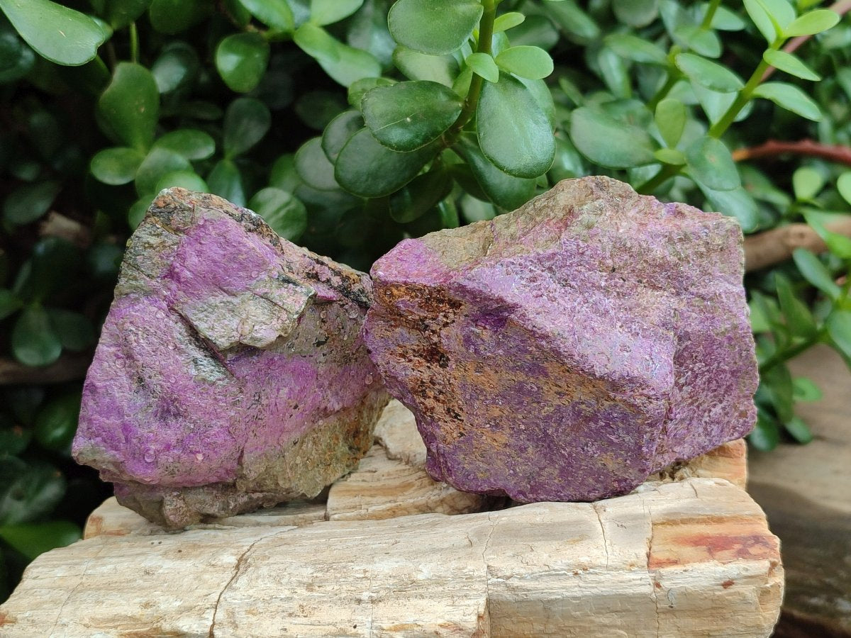 Natural Cobbed Stichtite Specimens x 12 From Barberton, South Africa