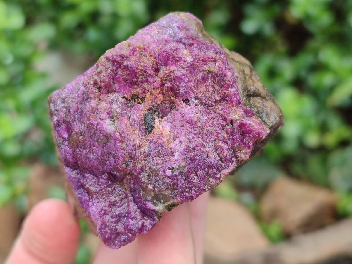 Natural Cobbed Stichtite Specimens x 12 From Barberton, South Africa