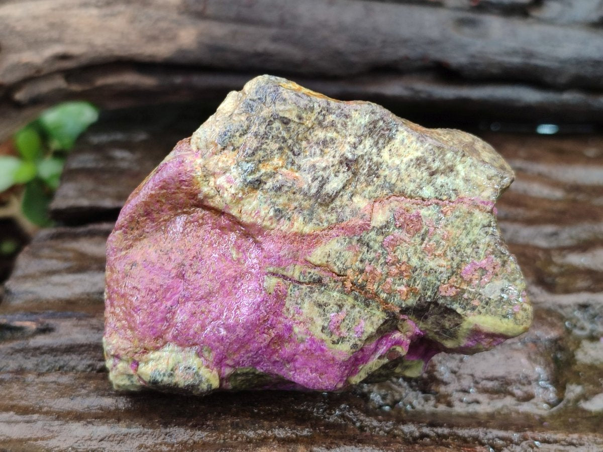 Natural Cobbed Stichtite Specimens x 12 From Barberton, South Africa