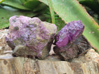 Natural Cobbed Stichtite Specimens x 12 From Barberton, South Africa