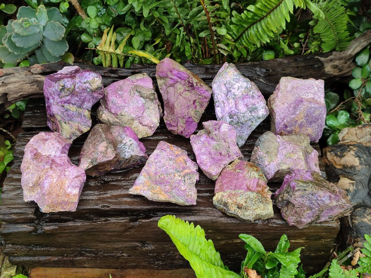 Natural Cobbed Stichtite Specimens x 12 From Barberton, South Africa