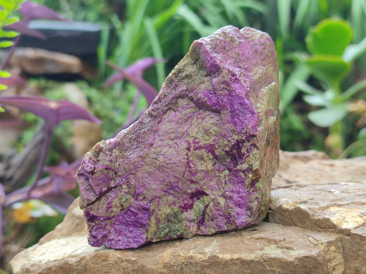 Natural Cobbed Stichtite Specimens x 12 From Barberton, South Africa