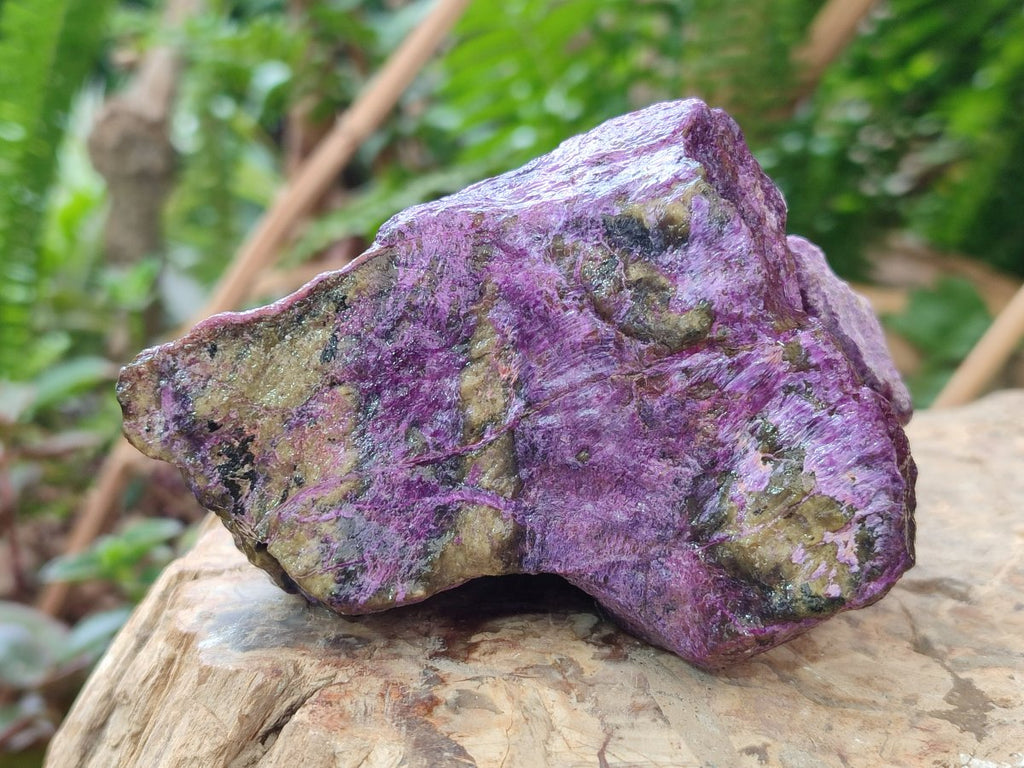 Natural Cobbed Stichtite Specimens x 12 From Barberton, South Africa