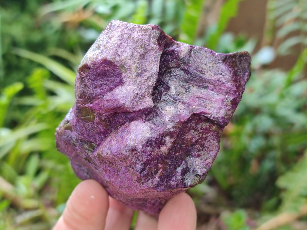 Natural Cobbed Stichtite Specimens x 12 From Barberton, South Africa