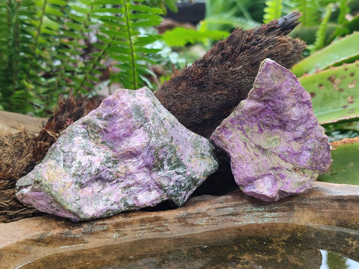 Natural Cobbed Stichtite Specimens x 12 From Barberton, South Africa