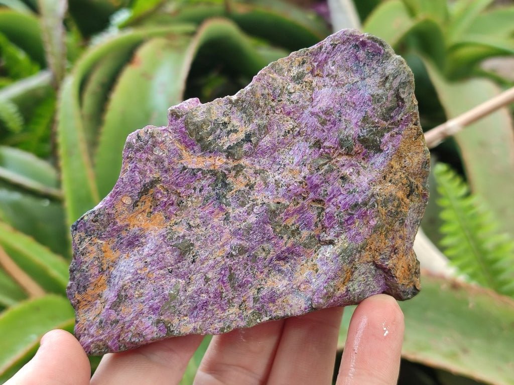 Natural Cobbed Stichtite Specimens x 12 From Barberton, South Africa